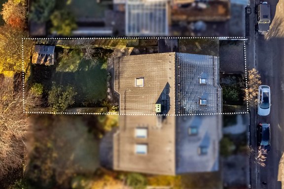 Sunny southwest garden