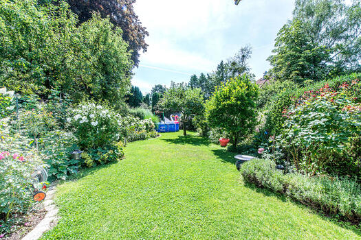 Sunny, well-kept garden