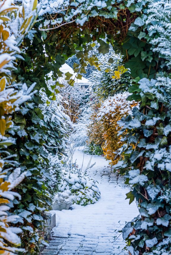 Enchanted garden entrance