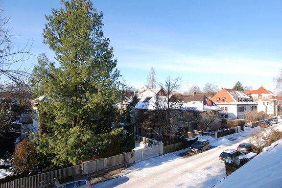 View of the surroundings