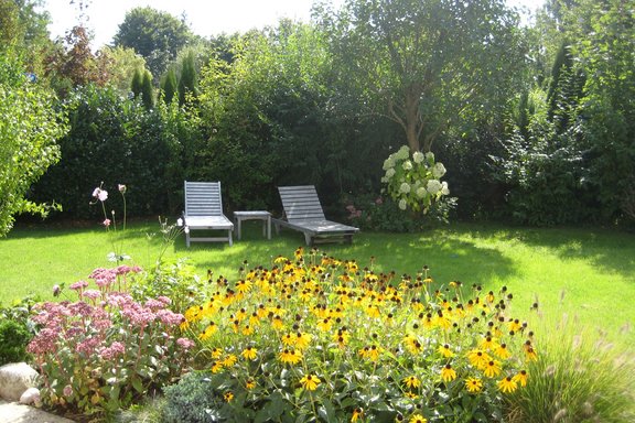 Sunny garden