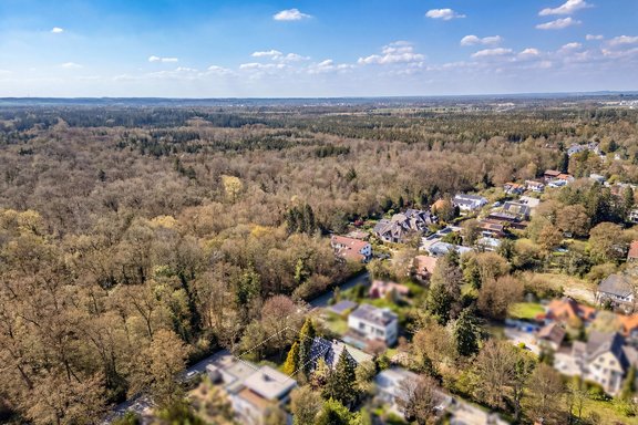Quiet residential area close to the forest