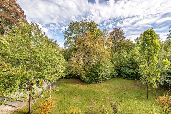 View from the upper floor