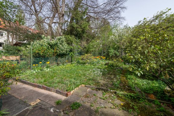 Sonniger Stadtgarten in Innenkarree mit Park-Charakter