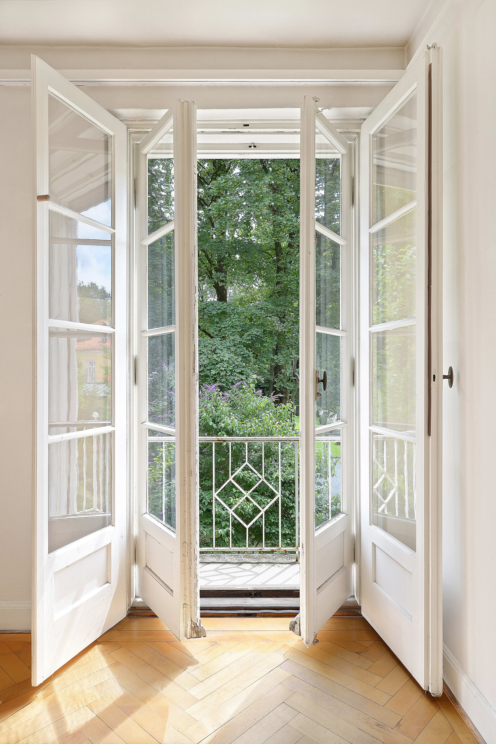 Flügeltüren mit französischem Balkon