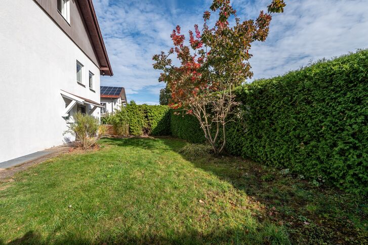 An overgrown garden