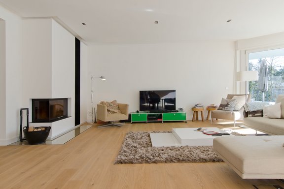 Living area with fireplace