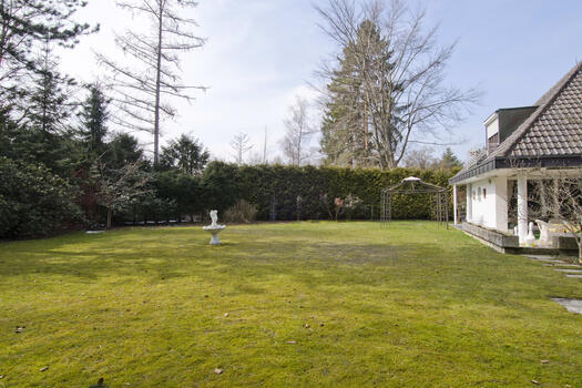 Sunny garden