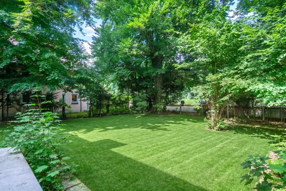 Overgrown property