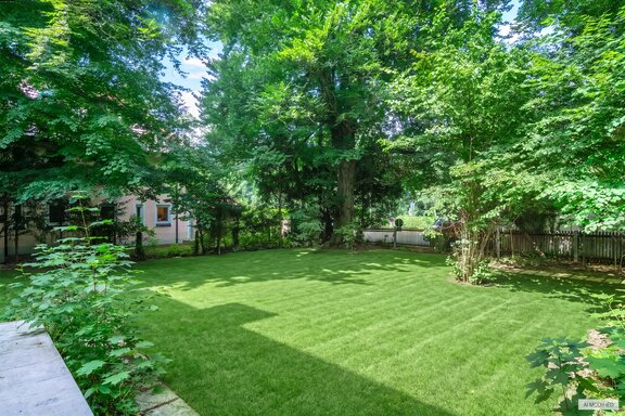 Overgrown Property
