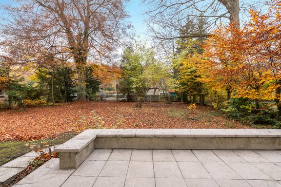 Eingewachsenes Grundstück