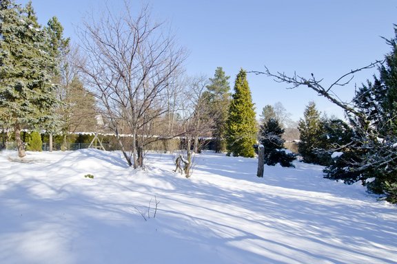 Grundstück 10312 neu