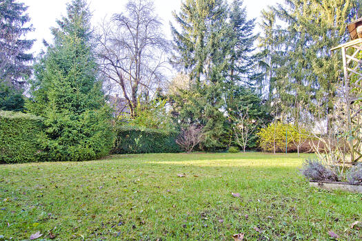 Weitläufiger Garten