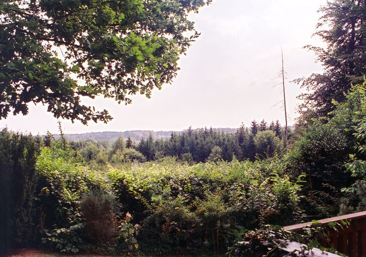 Blick
