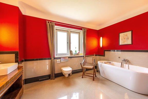 Daylight bathroom with freestanding tub