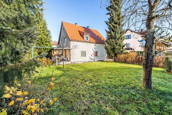 View from the garden