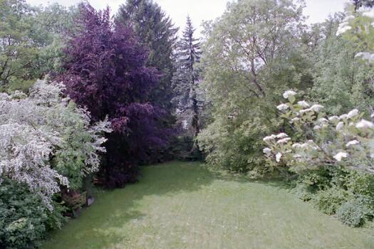Blick in den Garten