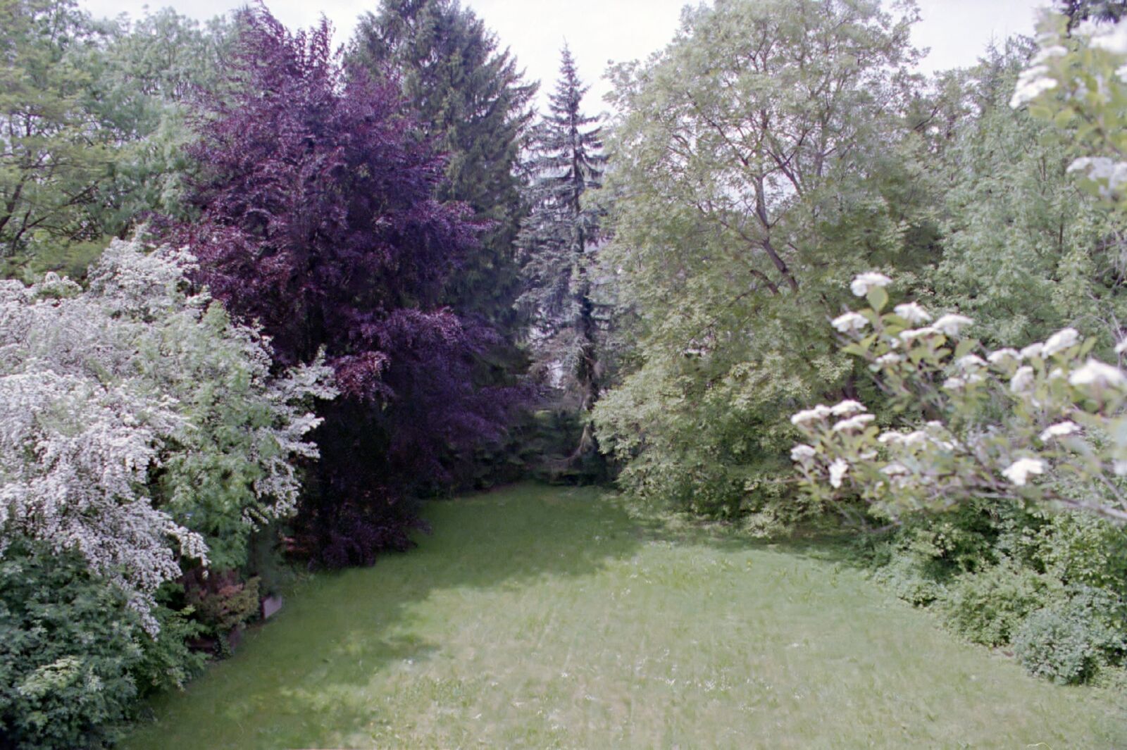 Blick in den Garten