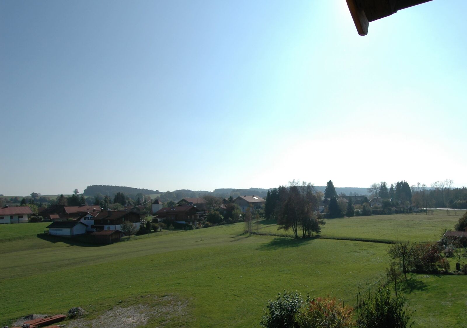Blick