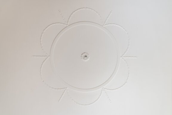 Exquisite stucco in nearly every room
