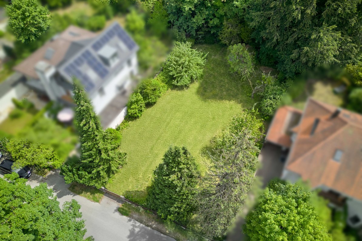 Individual design options