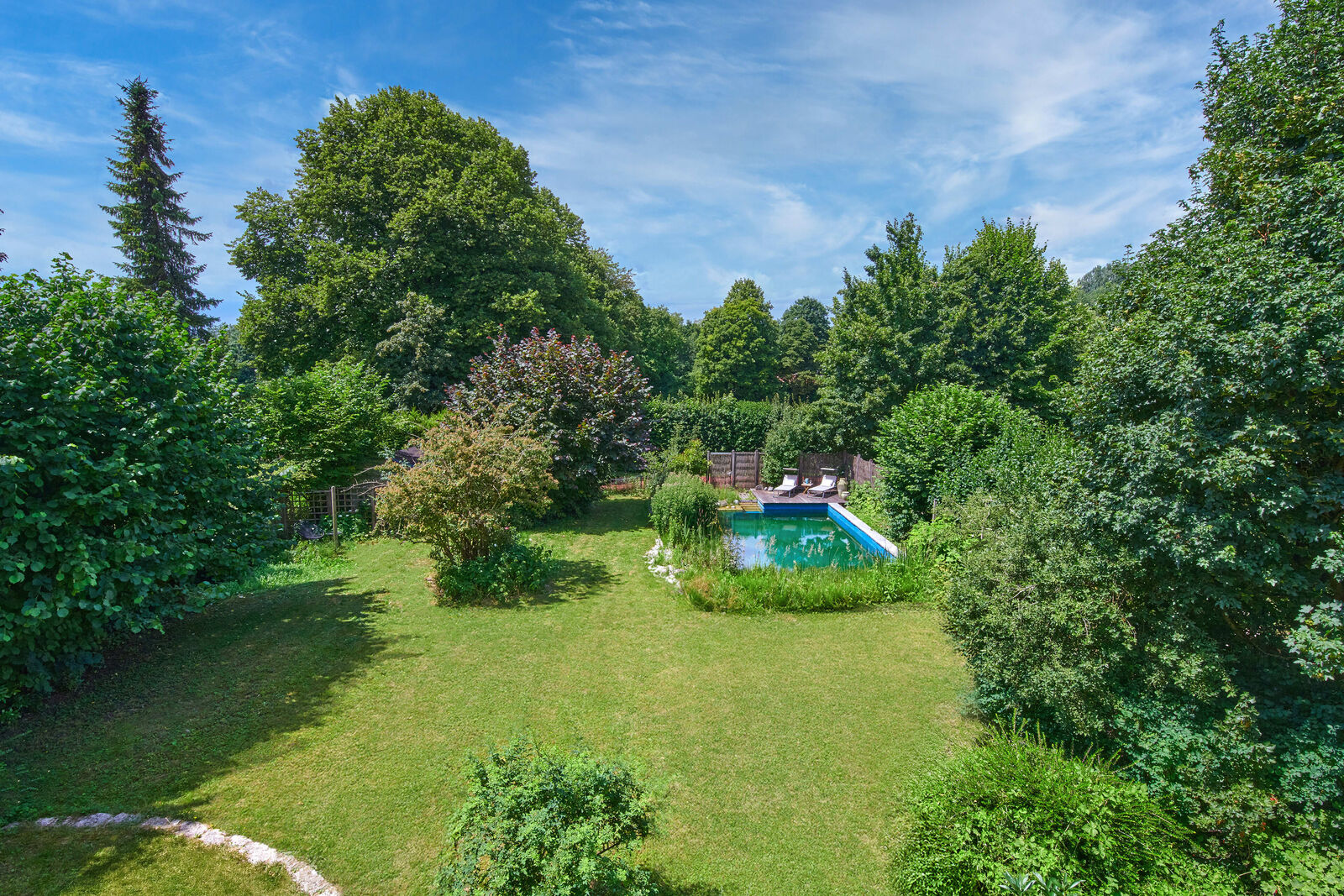 Garden with a Natural Swimming Pond