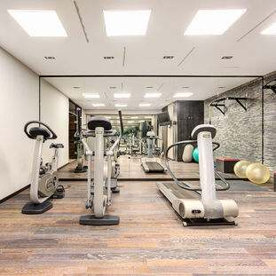 Wellness mit Gym