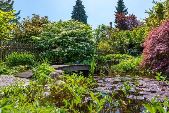 Prachtvolle Bepflanzung