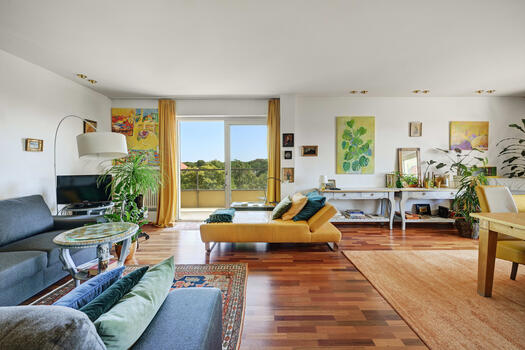 Living and lounge area