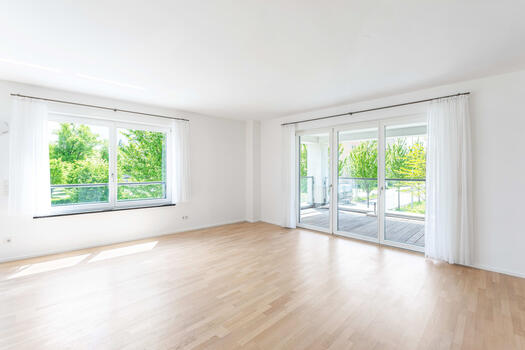 Living/dining area