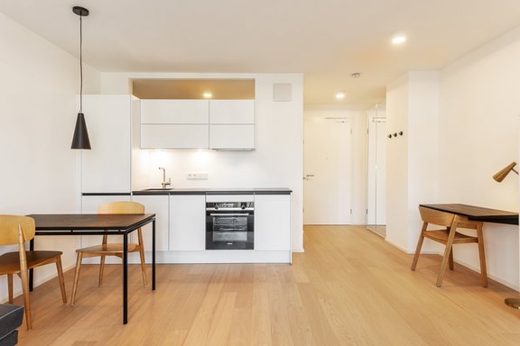 Koch- / Eingangsbereich