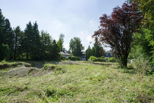 Rear area of the property