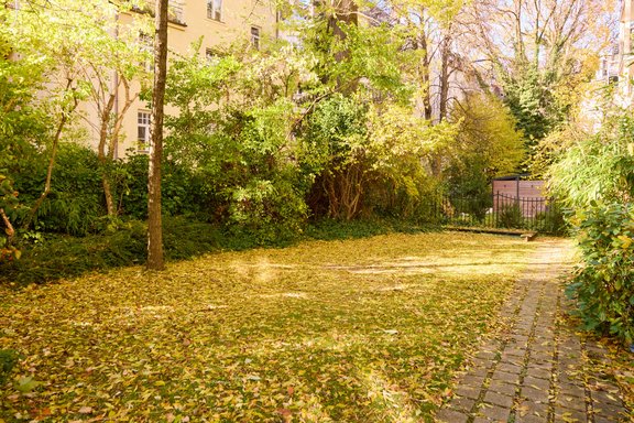 Idyllic courtyard garden