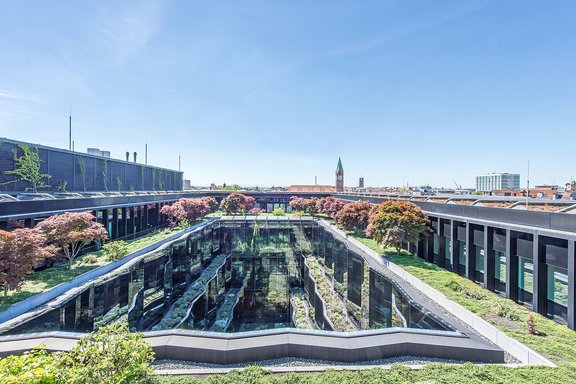 Breathtaking view up to the Alps