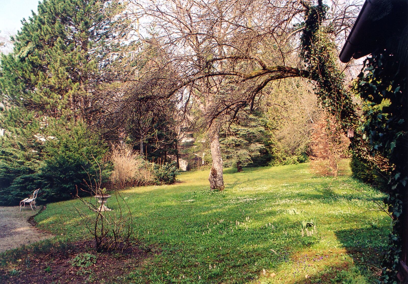 Garten