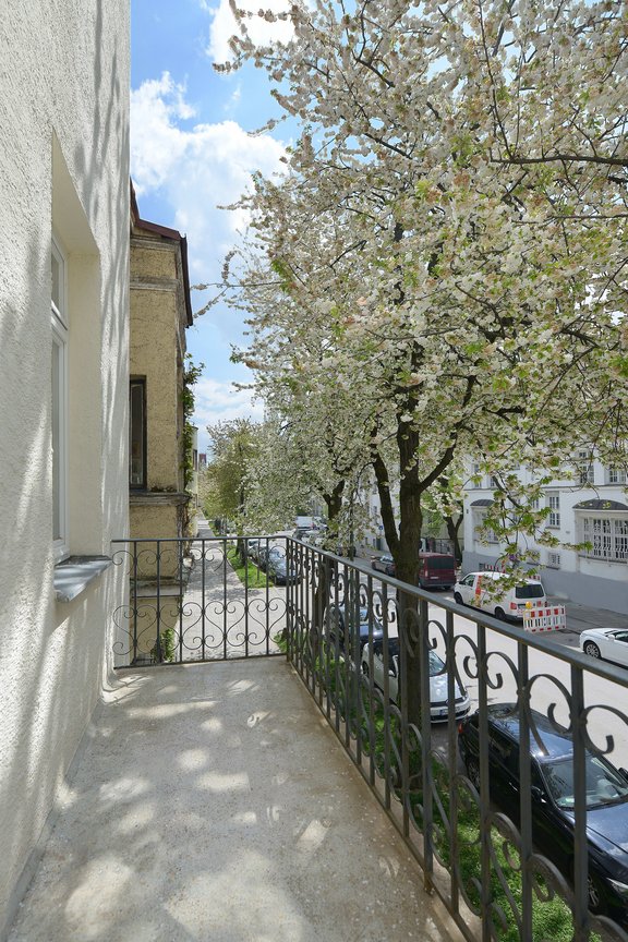 sonniger Blick in die Allee