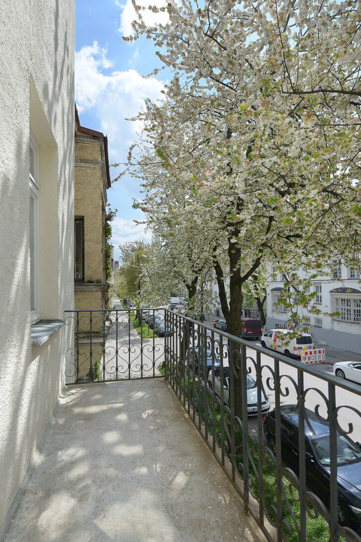 sonniger Blick in die Allee