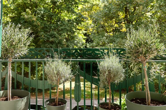 Blick in den Herzogpark
