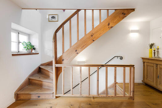 Oak and pine wood