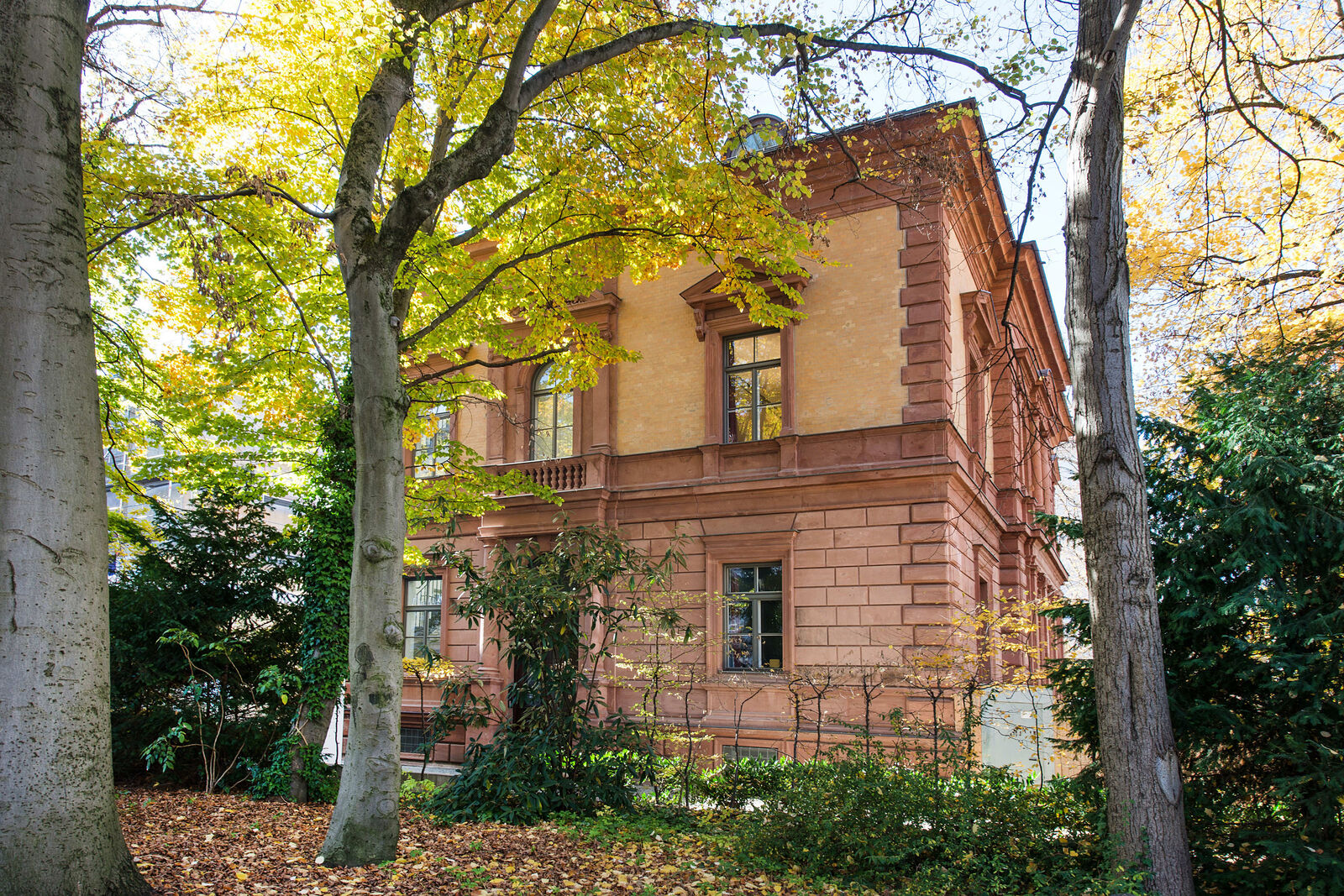 Seitenansicht
