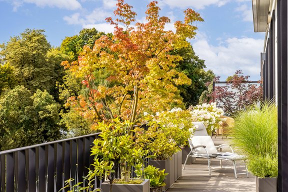 Wohlfühlort - Ostterrasse