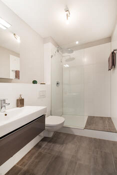 Shower Bath