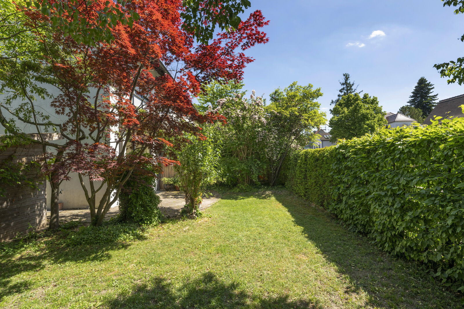 Gepflegter Süd-West-Garten