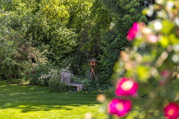 Schön eingewachsenes Gartenidyll