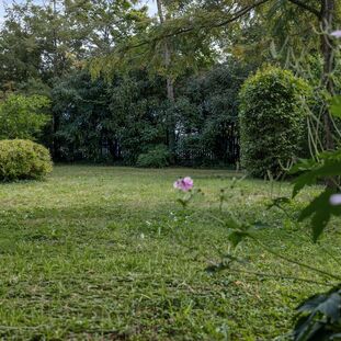 Stimmungsvolle Garten-Oase