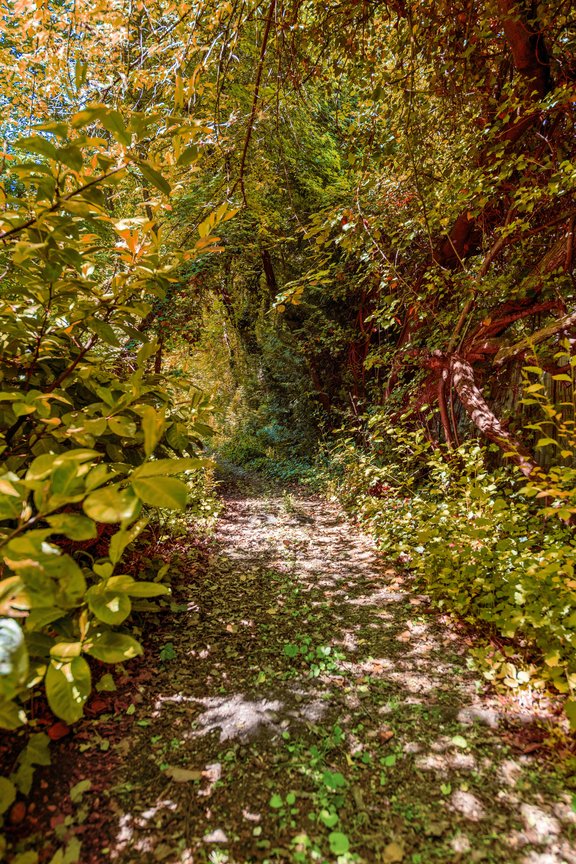 Idyllischer Weg zur Amper