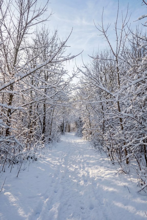 Idyllischer Weg zur Amper