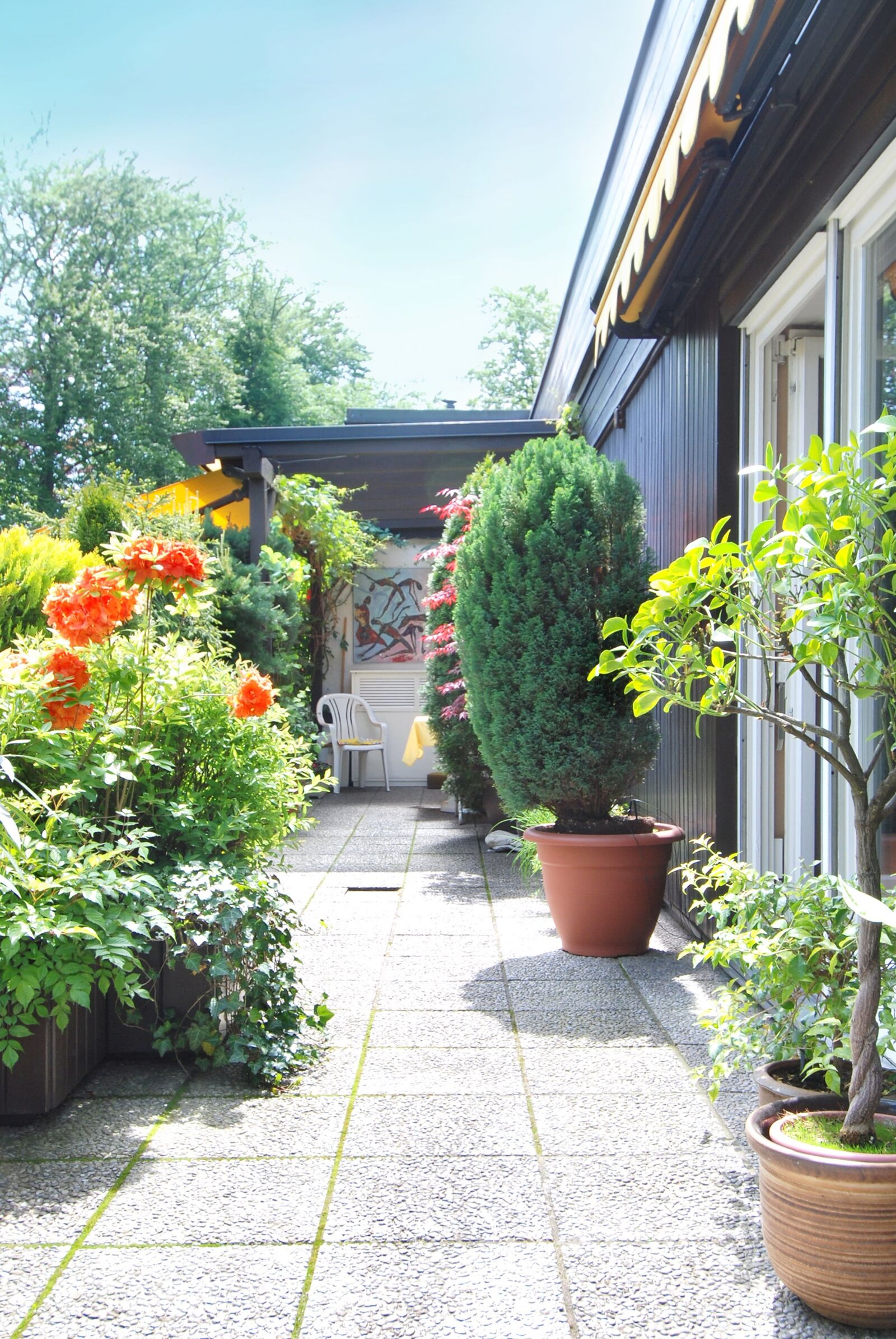 Terrasse