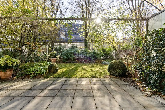 Sunny south-facing terrace and garden