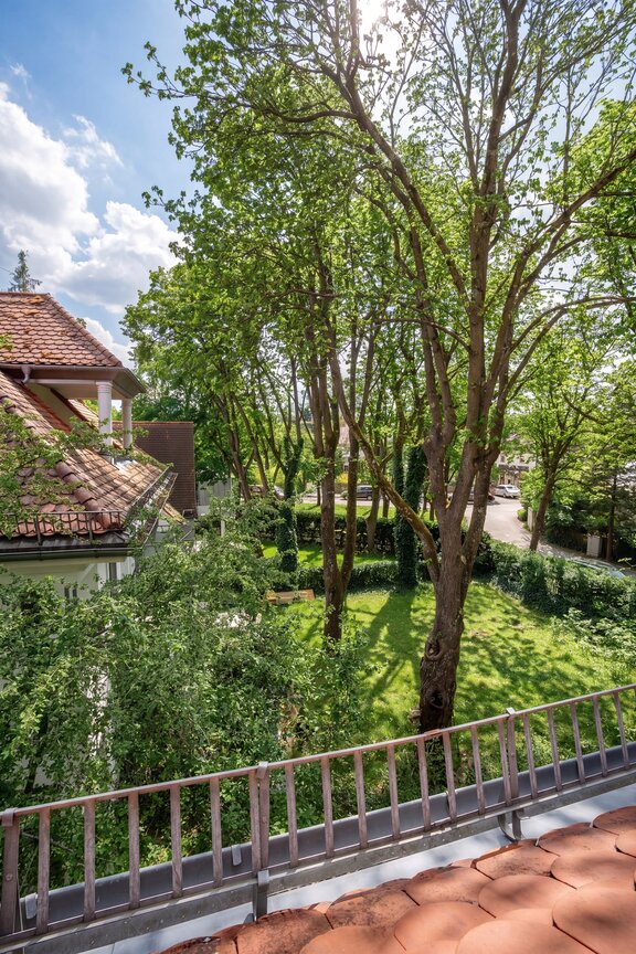 Blick ins Grüne